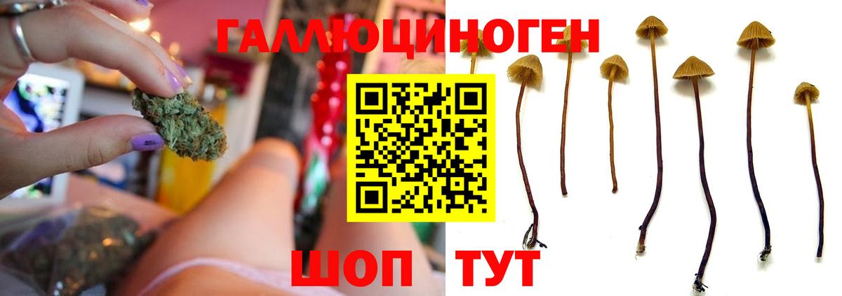 Галлюциногенные грибы Magic Shrooms Шадринск
